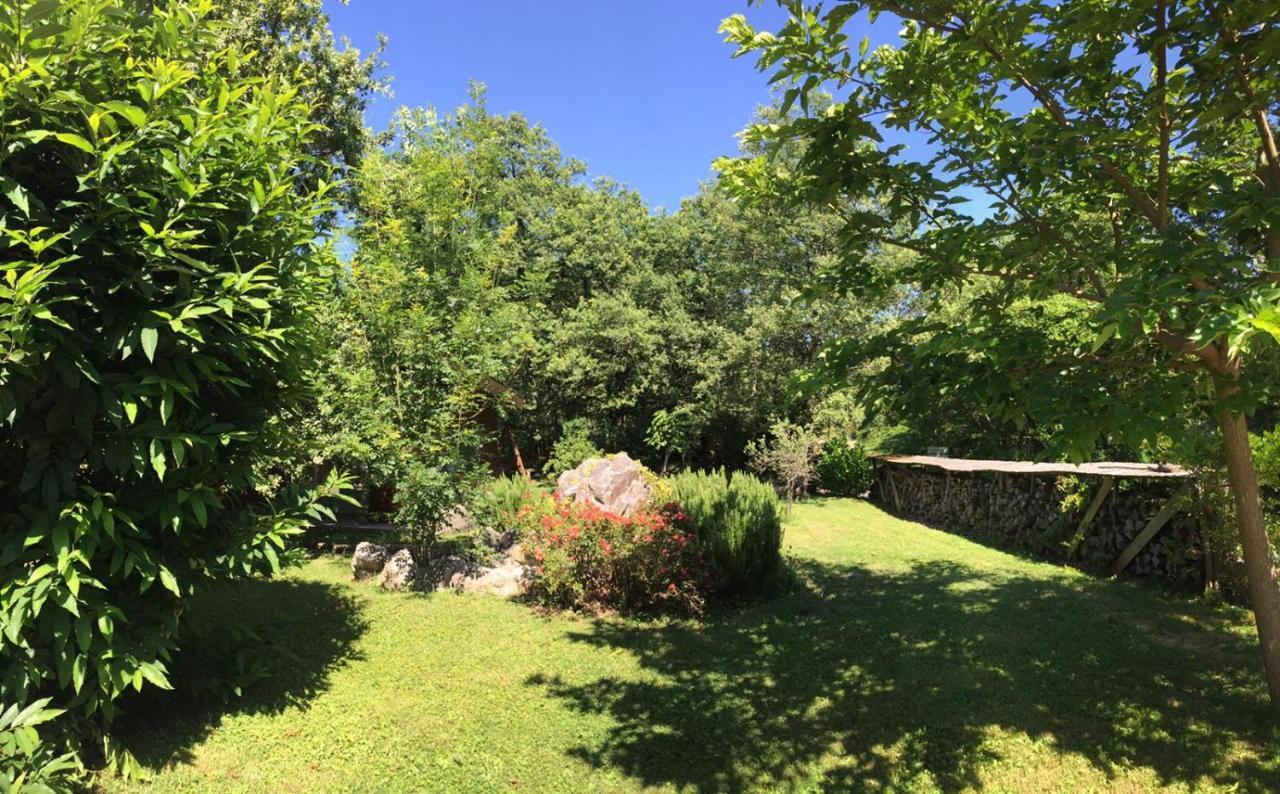 Ecolodge Les Sentiers Du Lac - Domaine De La Gaia Soreze Exterior photo